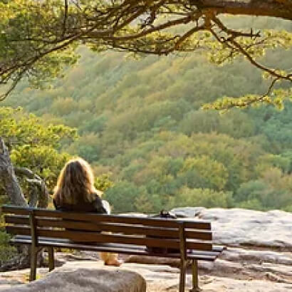 woman sitting on a bench overlooking a valley filled with trees